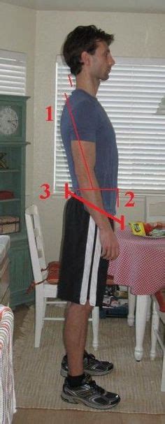 35 Swayback posture ideas | postures, exercise, posture exercises