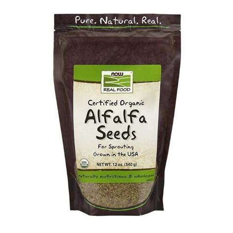 Alfalfa Seeds - PeggySchirmer.com