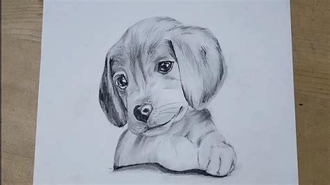 Pencil Drawings Of Dogs