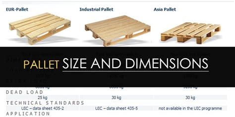 Pallet Size And Dimensions The Complete Guide Bansar China, 56% OFF