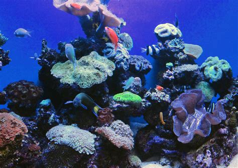 Mallorca - Palma Aquarium 10