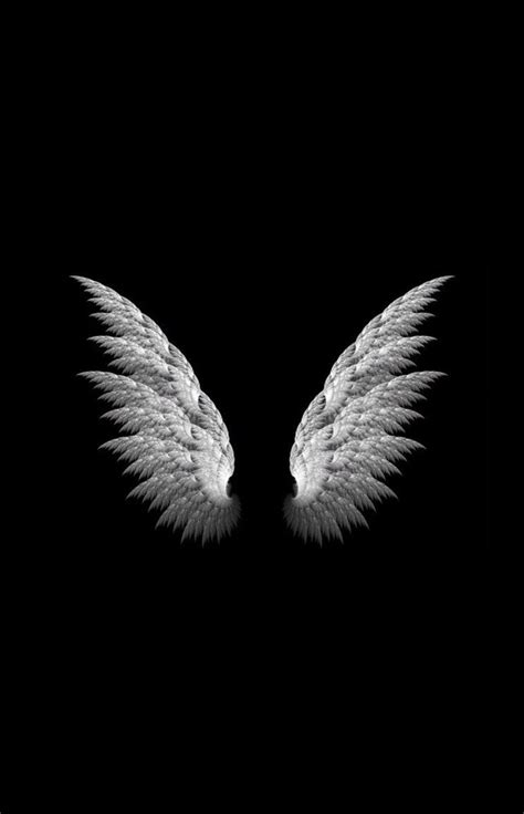 Black And White Angel Wallpaper