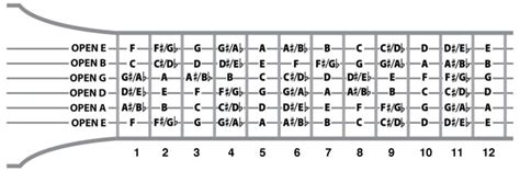 Guitar String Notes - The Ultimate Guide - National Guitar Academy