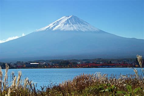 Mt. Fuji Lake Kawaguchi And Fall Grass Photograph by Lisa Lyons - Moments In Time | Pixels