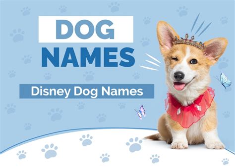 100+ Disney Dog Names: Ideas for Charming & Dreamy Dogs | Hepper