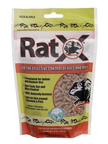 Best Rat Poison Reviews 2022: Complete Buyer's Guide