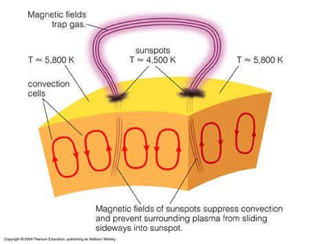 magnetic fields - How and why do sunspots occur? - Physics Stack Exchange