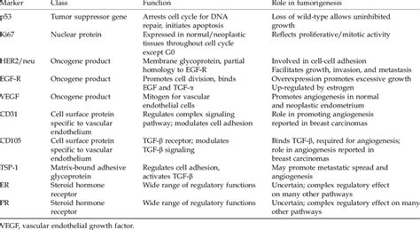 Immunohistochemical markers | Download Table