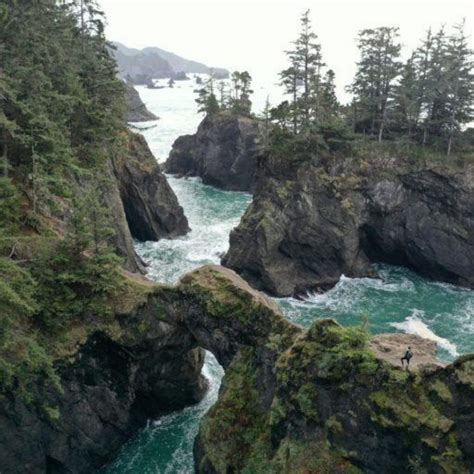 oregon coast 101 scenic drive | The Nature Seeker