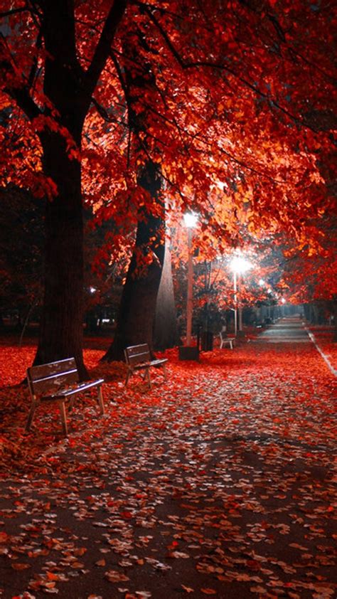 Autumn Night Wallpapers - Wallpaper Cave