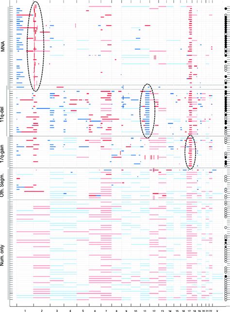 Summary of SNP array data of gains and losses for 134 NB cases.... | Download Scientific Diagram