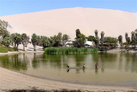 The Mesmerizing Huacachina Oasis in Peru | The BackPackers