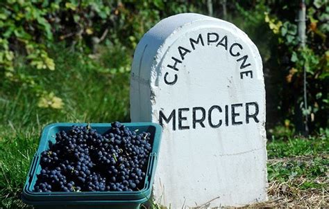 Champagne Mercier in Épernay: Book your visit