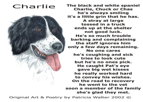 Funny Dog Poems | quotes.lol-rofl.com