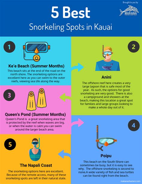 5 Best Snorkeling Spots in Kauai - InfographicBee.com