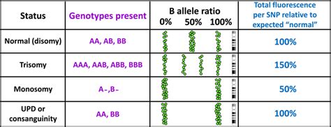 SNP array data can reveal copy number imbalance and homozygosity... | Download Scientific Diagram