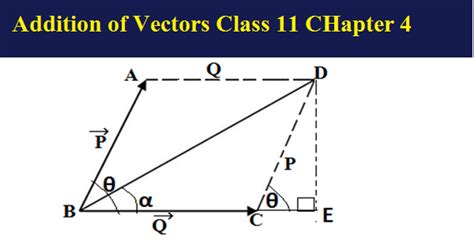 Addition of Vectors : CBSE Class 11 Physics Chapter 4 -Motion in a Plane - Future Study Point