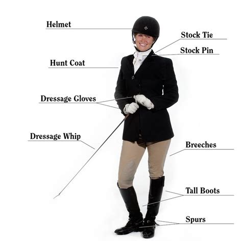 17+ best images about Horse camps on Pinterest | Horse anatomy, Ponies and Dressage