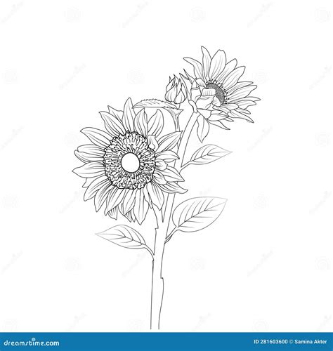 Sunflower Drawing, Stencil Sunflower Tattoo Outline, Drawings Stencil Sunflower Tattoo Outline ...