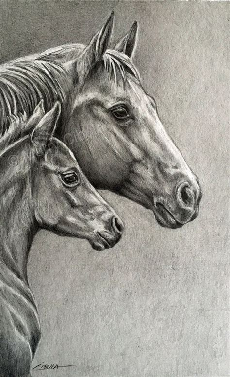 Equine Art. An original equine graphite pencil drawing of a Quarter ...