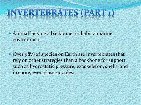 PPT - Ocean Invertebrates & Ocean Vertebrates PowerPoint Presentation - ID:2376208