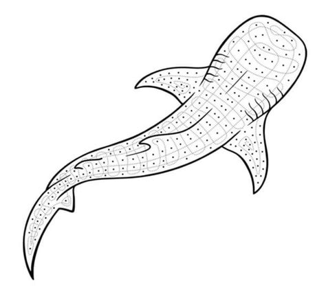 whale shark line art | Fish art, Surf art, Art