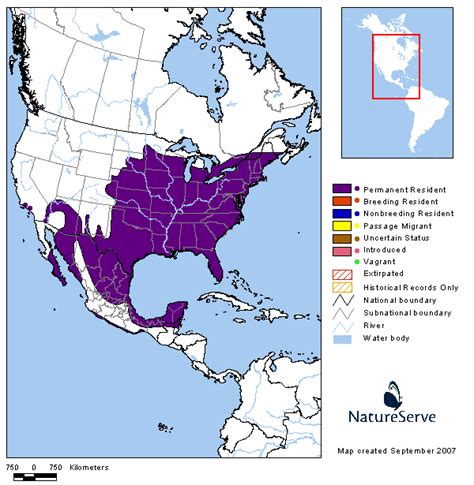 Americas Range Map - Northern Cardinal | BirdPhotos.com