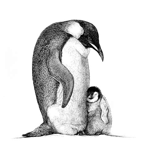 Pen & Ink Black and White Art Fun Art Ink Drawing Bird Art Ink Art Penguin Drawing Pen and Ink ...