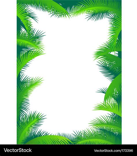 Palm border Royalty Free Vector Image - VectorStock