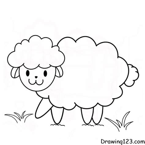 Sheep Drawing For Kids