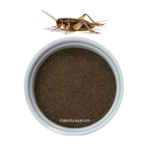 Cricket Flour (Gryllus Bimaculatus) 40g