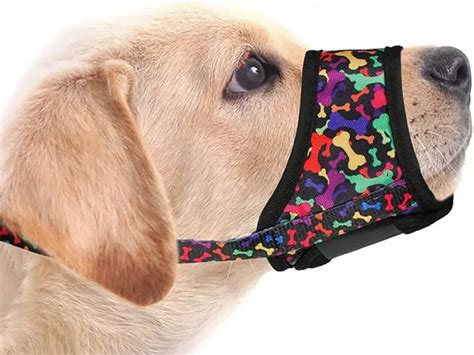 Muzzle Safety: How to Find the Right Dog Muzzle Size Chart