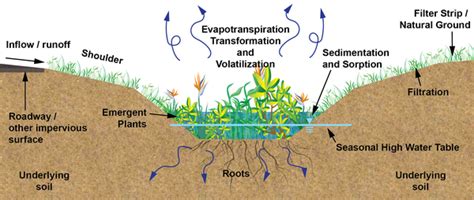 Swale Terminology for Urban Stormwater Treatment | NC State Extension ...