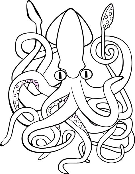 26 best ideas for coloring | Giant Squid Coloring Page