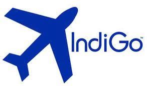 indigo logo