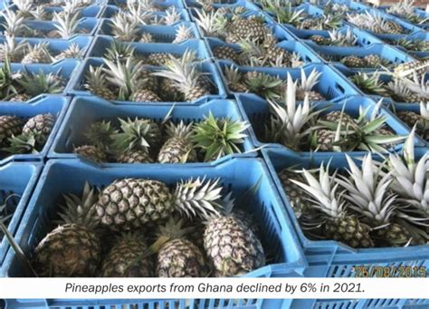 NTEs 2021 Report – Ghana Leads Yam Export Globally - Ghana Shippers Authority