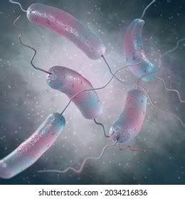 Medical Background Amphitrichous Bacteria Two Flagella Stock Illustration 2034216836 | Shutterstock