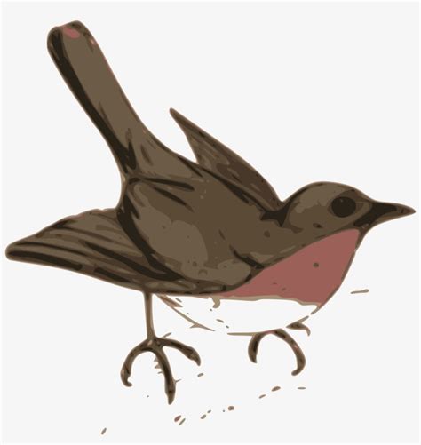 Wren Clipart Robin Bird - Maya Bird Clip Art PNG Image | Transparent PNG Free Download on SeekPNG