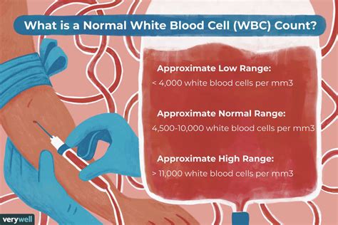 Normal White Blood Cell (WBC) Count by Age: What to Know