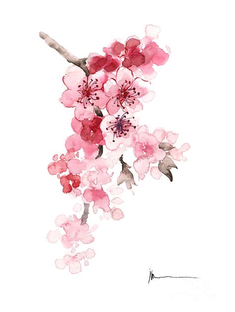 Sakura flowers watercolor art print painting Painting by Joanna Szmerdt - Pixels