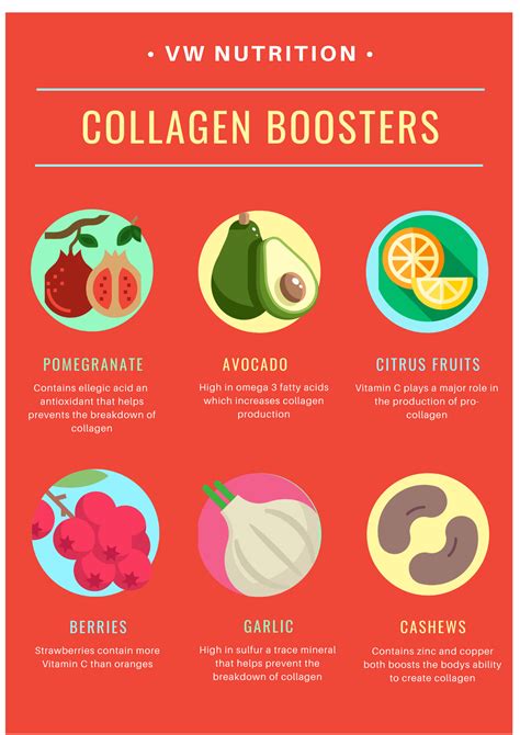 Foods to eat to Boost Collagen Production Virginia Williams Studio