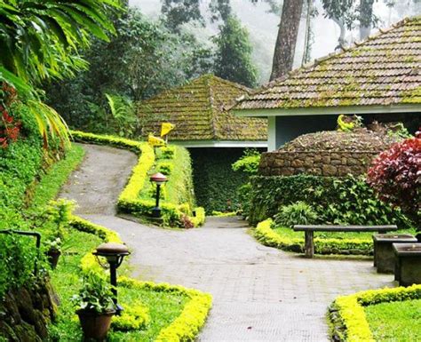 The Tall Trees Resort,Munnar:Photos,Reviews,Deals