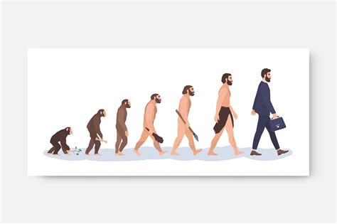 Human Evolution