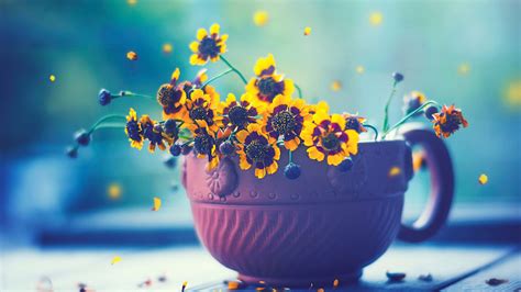 Flowers In Cup Wallpaper,HD Flowers Wallpapers,4k Wallpapers,Images ...