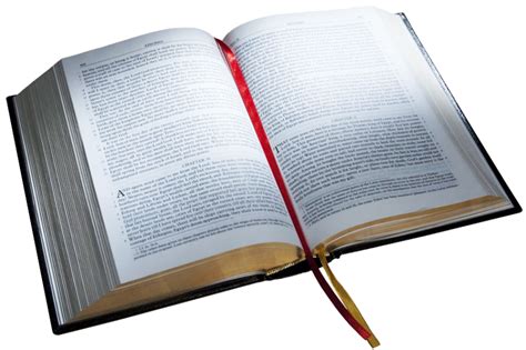 Bible Reading for Knowledge and Education PNG File | PNG All