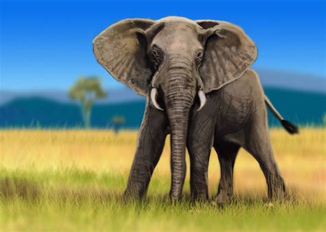 Zoo Park: Run Your Own Animal Sanctuary: The African Elephant