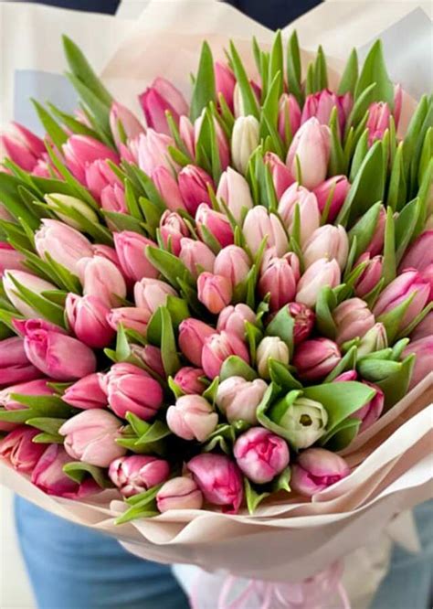 100 Tulips Wrapped Bouquet | The Flower Alley