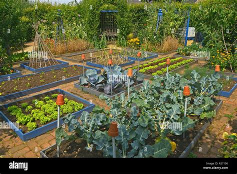 WELL LAID OUT VEGETABLE GARDEN IN A PRIVATE GARDEN. AUGUST 2018. OAKHAM, RUTLAND, ENGLAND. Small ...