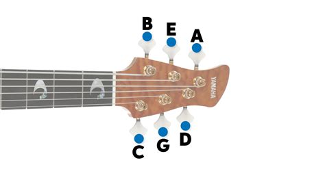 Bass Guitar Tuning Guide – How to Tune Bass Guitars | Sweetwater