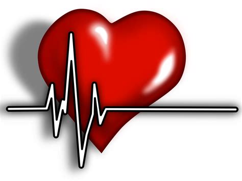 Clipart - Heart ECG Logo